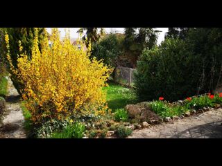  Colocation � louer 7 pi�ces 155 m�