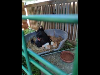  Colocation � louer 1 pi�ce 18 m�