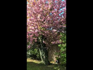  Colocation � louer 5 pi�ces 90 m�