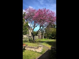  Colocation � louer 5 pi�ces 100 m�