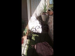  Colocation � louer 3 pi�ces 68 m�