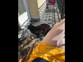  Colocation � louer 3 pi�ces 100 m�