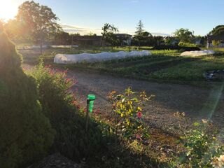  Colocation � louer 10 pi�ces 250 m�