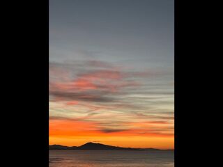  Colocation � louer 1 pi�ce 54 m�