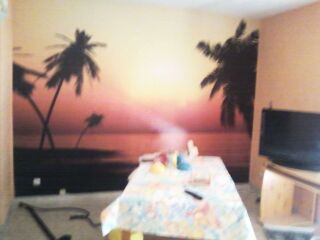  Colocation � louer 1 pi�ce 33 m�