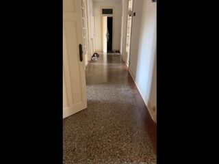  Colocation � louer 4 pi�ces 111 m�