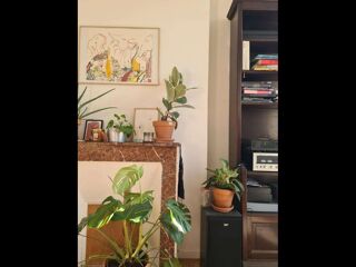  Colocation � louer 2 pi�ces 40 m�