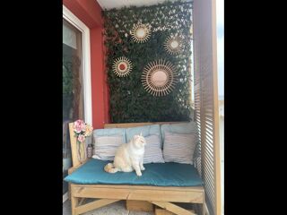  Colocation � louer 4 pi�ces 80 m�