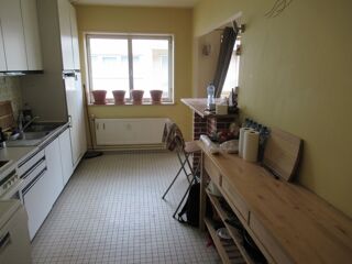  Colocation  louer 6 pices 100 m