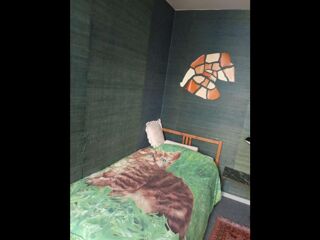  Colocation � louer 3 pi�ces 90 m�