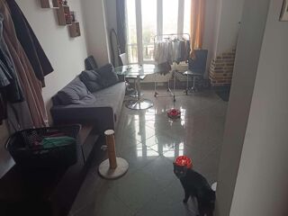  Colocation  louer 3 pices 47 m