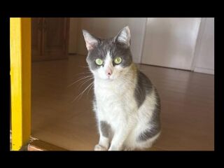  Colocation � louer 3 pi�ces 90 m�