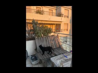  Colocation � louer 4 pi�ces 75 m�