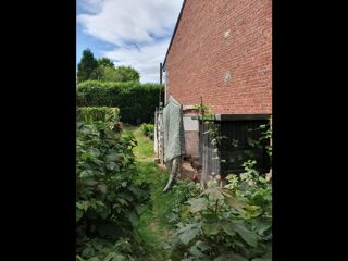  Colocation � louer 7 pi�ces 240 m�