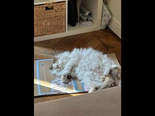  Colocation � louer 7 pi�ces 170 m�