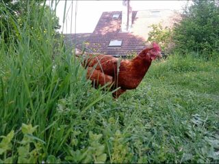  Colocation � louer 8 pi�ces 160 m�