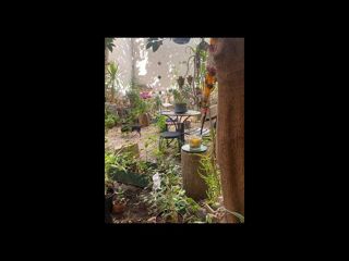  Colocation � louer 1 pi�ce 9 m�