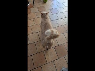  Colocation � louer 6 pi�ces 140 m�