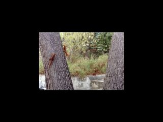  Colocation � louer 6 pi�ces 145 m�