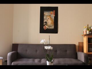  Colocation � louer 4 pi�ces 80 m�