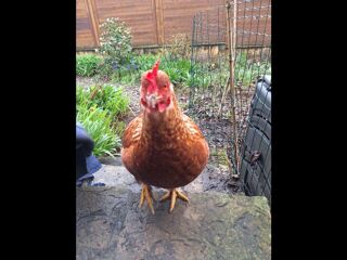  Colocation � louer 6 pi�ces 180 m�