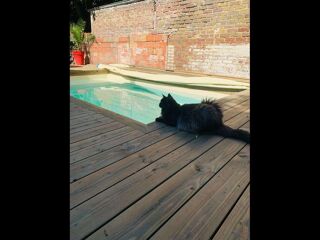  Colocation � louer 5 pi�ces 400 m�