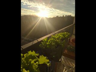  Colocation � louer 3 pi�ces 66 m�