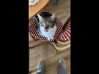  Colocation � louer 5 pi�ces 115 m�