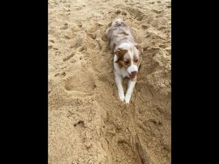  Colocation � louer 5 pi�ces 140 m�