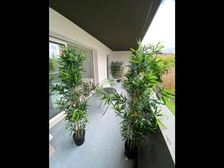  Colocation � louer 7 pi�ces 110 m�