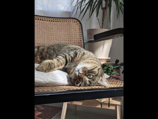  Colocation � louer 1 pi�ce 80 m�