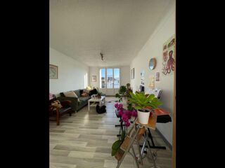  Colocation � louer 3 pi�ces 72 m�