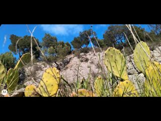  Colocation � louer 9 pi�ces 225 m�