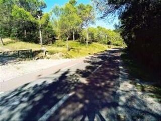  Colocation � louer 4 pi�ces 95 m�