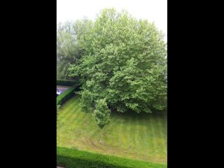  Colocation � louer 5 pi�ces 84 m�