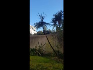  Colocation � louer 3 pi�ces 70 m�