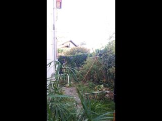  Colocation  louer 5 pices 100 m