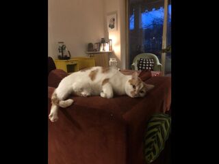  Colocation � louer 5 pi�ces 120 m�