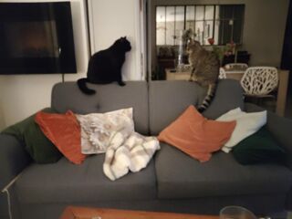  Colocation � louer 6 pi�ces 115 m�