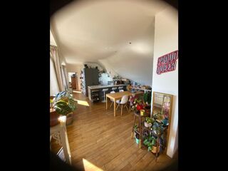  Colocation � louer 3 pi�ces 80 m�