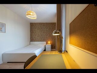  Colocation � louer 5 pi�ces 70 m�