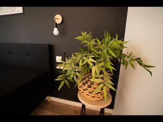  Colocation � louer 10 pi�ces 260 m�