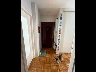  Colocation � louer 2 pi�ces 51 m�