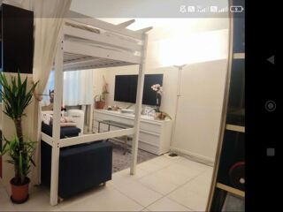  Colocation  louer 3 pices 50 m