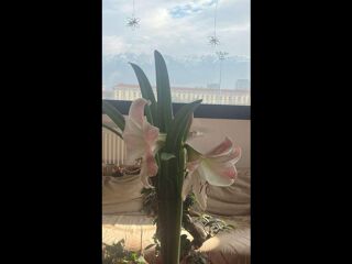  Colocation � louer 4 pi�ces 100 m�