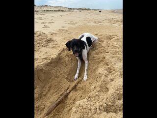  Colocation � louer 5 pi�ces 140 m�