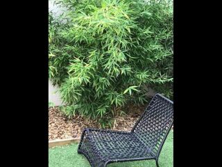  Colocation � louer 10 pi�ces 200 m�