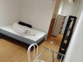  Colocation � louer 8 pi�ces 250 m�