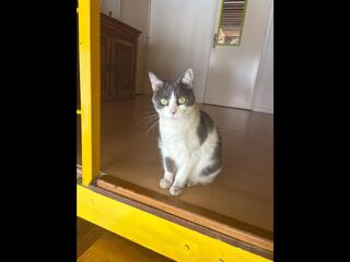  Colocation � louer 4 pi�ces 100 m�