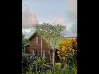  Colocation � louer 4 pi�ces 50 m�